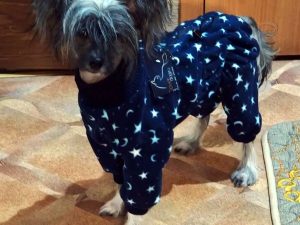 Комбинезон McDog “Звезды” (флис)