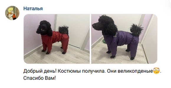 Отзывы покупателей об одежде для Пуделей