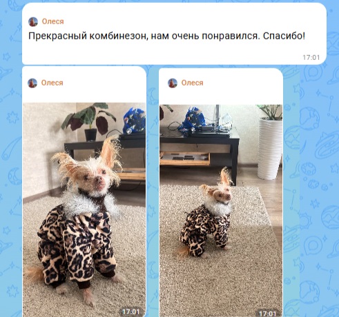 Отзывы об одежде для Китайской Хохлатой собаки